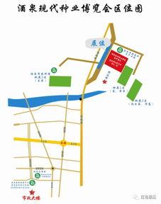 吃瓜网甘肃酒泉评论区,瓜友热议美食与文化魅力