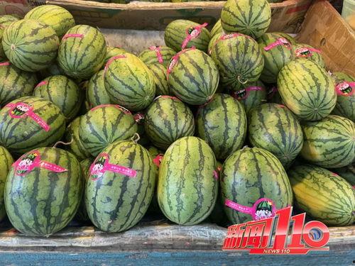 程女士吃瓜网每日大赛,每日大赛精彩回顾，揭秘幕后故事