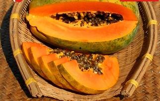 629吃瓜网入口,热门八卦一网打尽，带你畅游娱乐世界