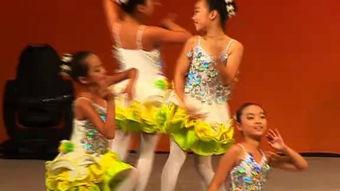 杨晓花舞蹈51吃瓜网,揭秘网络舞蹈热潮背后的故事