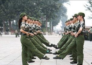 五一军训跳舞吃瓜网,跳舞吃瓜，青春记忆里的欢乐时光