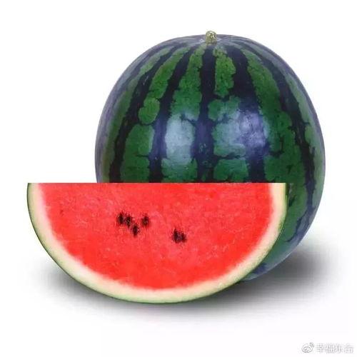 51吃瓜网地址,网络吃瓜文化的聚集地