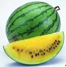 51吃瓜官网全网最,51吃瓜官网独家揭秘