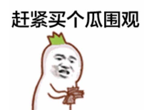 吃瓜群众瓜哥网红视频,揭秘娱乐圈幕后真相，吃瓜群众热议不断