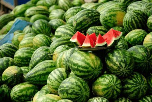 所有网红吃瓜的网站名字,揭秘各大吃瓜网站风云录