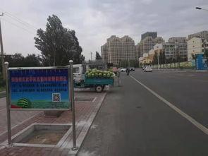 乌海市吃瓜新闻网站官网