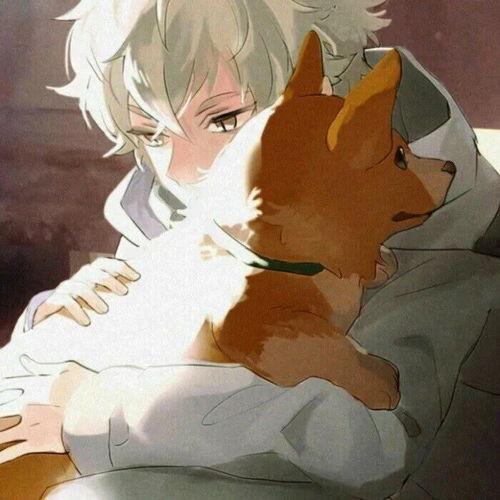 吃瓜网漫羽毛,吃瓜网上的趣味漫画盛宴