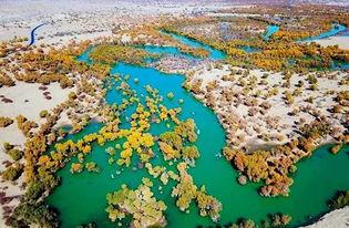 罗布泊吃瓜网,探寻神秘荒漠中的瓜果传奇