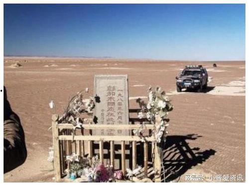 罗布泊吃瓜网,探寻神秘荒漠中的瓜果传奇