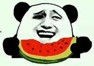 陈网红带你吃瓜