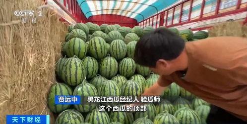 吃瓜部落官网入口