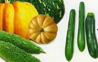 宁海最新吃瓜新闻报道网