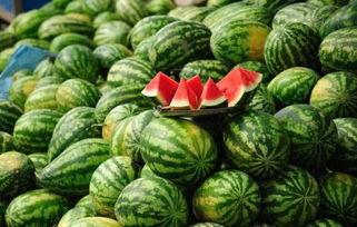 郯城网红吃瓜事件真相,真相背后的网络风波