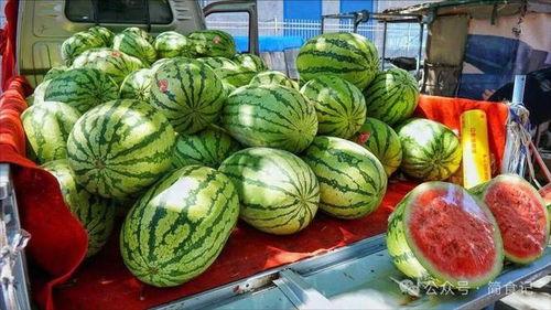 郯城网红吃瓜事件真相,真相背后的网络风波