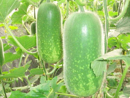 网红吃瓜qq入口3月份,3月热门事件大盘点