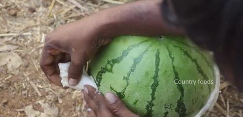 吃瓜80多万粉丝的网红,吃瓜女王80万粉丝背后的网红传奇