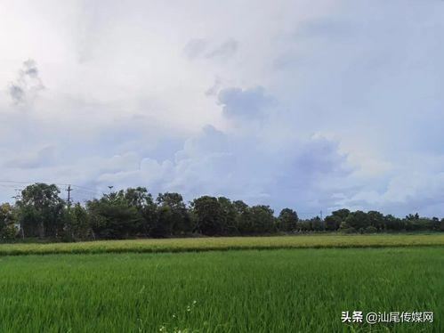 吃瓜80多万粉丝的网红,吃瓜女王80万粉丝背后的网红传奇