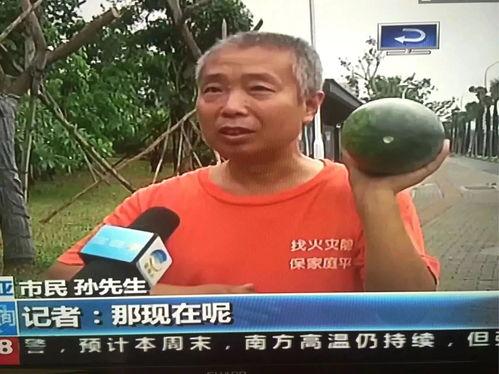 网爆热门事件吃瓜最新,吃瓜群众揭秘幕后真相