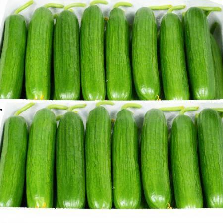 山东吃生瓜的网红叫什么,惊险刺激引关注