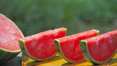 内蒙古网红吃瓜视频,揭秘草原上的“瓜界风云”