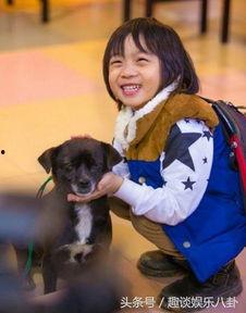 网红kimi吃瓜,吃瓜背后的故事与真相