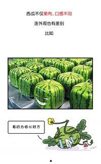 朝阳群众网红爆料吃瓜,真相大白！