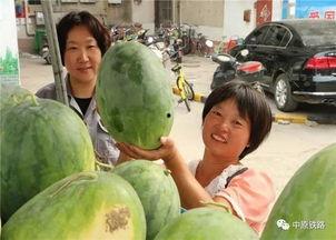 红桃吃瓜网曝亚洲一区视频,揭秘神秘内容引发热议