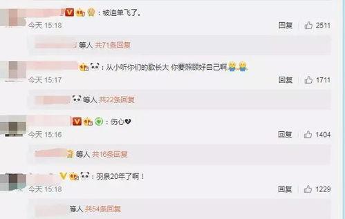 贵圈吃瓜日记百度云网盘,网盘中的娱乐圈幕后故事