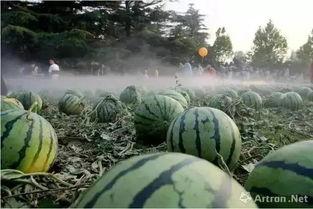 61吃瓜网,揭秘娱乐圈最新热点，带你领略明星幕后故事