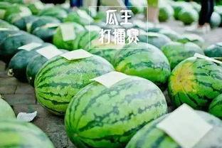 61吃瓜网,揭秘娱乐圈最新热点，带你领略明星幕后故事