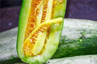 网红陈妮妮吃瓜图片,网红美食生活大揭秘