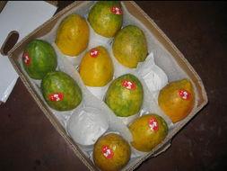 台湾网红吃瓜爆料,吃瓜爆料引热议