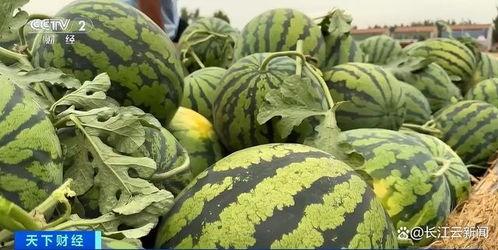 山东吃瓜网最新网站,揭秘山东最新热点事件，一网打尽本地新鲜资讯