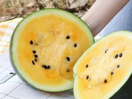 吃瓜官网导航,一站式娱乐资讯平台，畅享全网热门内容