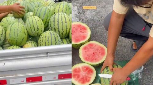 临沂吃生瓜网红叫什么来着,挑战味蕾极限，揭秘“生瓜哥”传奇故事