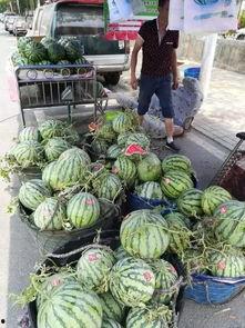 吃瓜网红事件聚集地,网络舆论的风暴眼