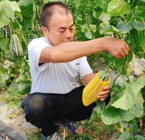 78吃瓜爆网,揭秘网络热点背后的真相与笑料