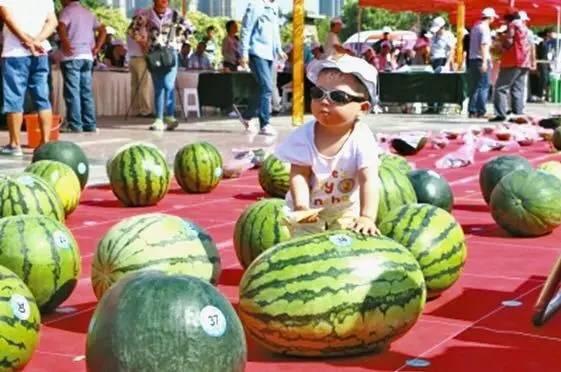 吃瓜网今日大赛,精彩对决，谁将脱颖而出？