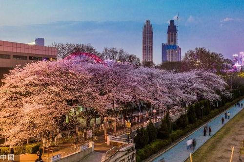 网红爆料吃瓜入口,揭秘吃瓜界的入口秘籍！