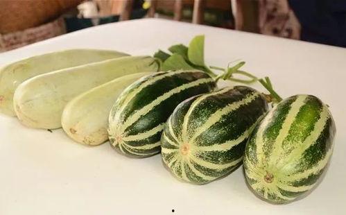 网红吃瓜不给钱,引发网友热议