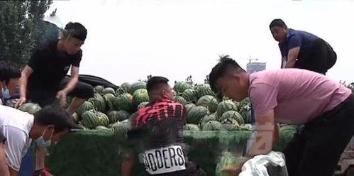 辉县网红吃瓜事件真相,真相背后的网络狂欢与反思