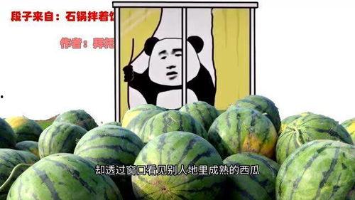 网红吃瓜糗事,揭秘网络红人的幕后真相