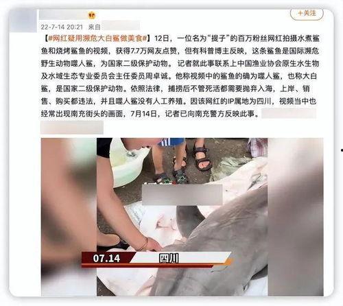 网红女吃瓜视频网站,揭秘热门视频网站背后的秘密