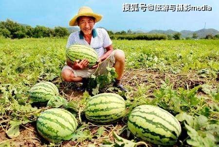 瓜农今日吃瓜网红黑料