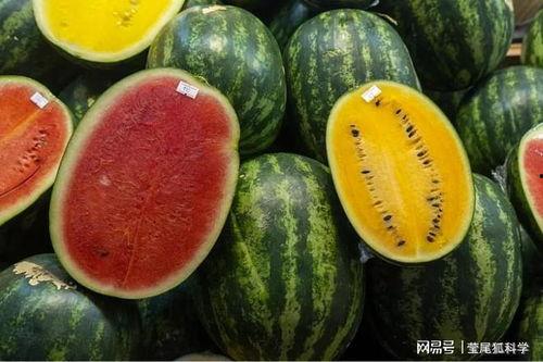 青田网红吃瓜事件真相