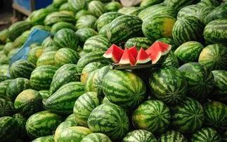 青田网红吃瓜事件真相